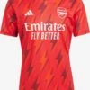 ADIDAS PERFORMANCE Tricots Tricot FC Arsenal Heren Rood / Wijnrood