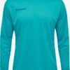Hummel Functionele Shirts Functioneel Shirt Heren Blauw / Lichtblauw