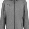 Puma Trainingsjacks Sportsweatvest Heren Stone Grey / Donkergrijs