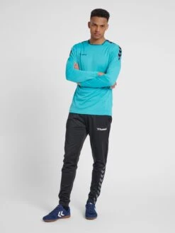 Hummel Functionele Shirts Functioneel Shirt Heren Blauw / Lichtblauw 10 Hummel Functionele Shirts Functioneel Shirt Heren Blauw / Lichtblauw -Sportieve Kleding 35e41e3f3657ab243268d1f38ef36ce3