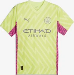 Puma Tricots Tricot Manchester City Heren Geel