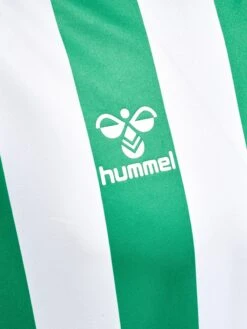 Hummel Tricots Tricot Heren Grasgroen 7 Hummel Tricots Tricot Heren Grasgroen -Sportieve Kleding 4a0ee0cedef86b4e23aa13e5bced731e