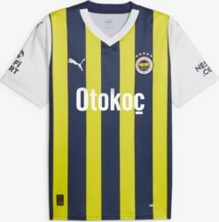 Puma Tricots Tricot Fenerbahçe S.K. 23/24 Heren Marine