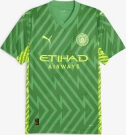 Puma Tricots Tricot Manchester City Heren Groen