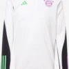ADIDAS PERFORMANCE Functionele Shirts Functioneel Shirt FC Bayern München Tiro 23 Heren Wit