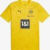 Puma Tricots Tricot Borussia Dortmund Heren Geel