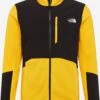 The North Face Fleece Jassen Funktionele Fleece-jas Glacier Heren Goudgeel