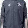 Adidas Sportswear Softshell Jassen Sportjas Heren Basaltgrijs