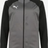 Puma Trainingsjacks Sportjas Team Liga Heren Donkergrijs
