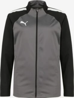 Puma Trainingsjacks Sportjas Team Liga Heren Donkergrijs