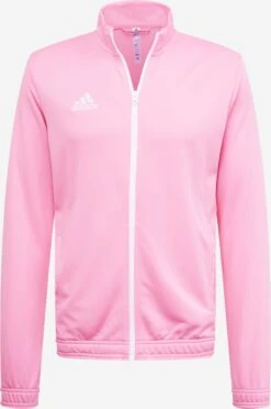 Adidas Sportswear Trainingsjacks Trainingsjack Heren Rosa