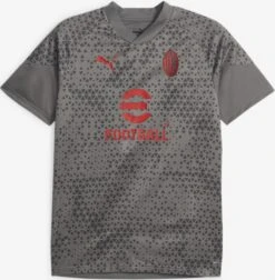 Puma Tricots Tricot AC Milan Heren Stone Grey / Donkergrijs